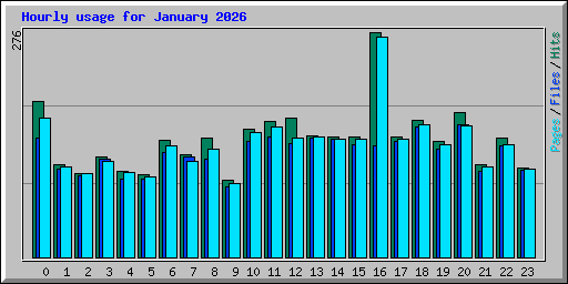 Hourly usage for January 2026